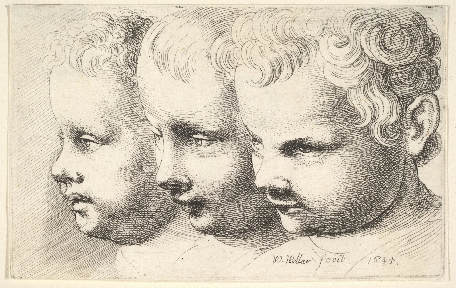 Three children’s heads av Wenceslaus Hollar