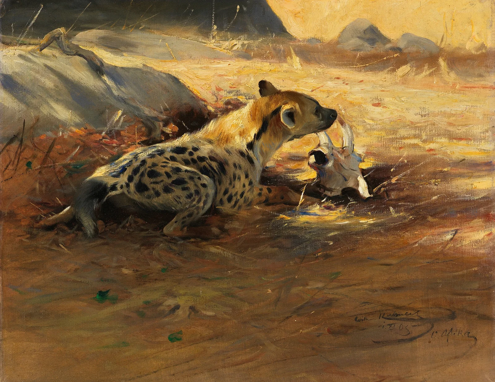 Hyäne av Wilhelm Kuhnert
