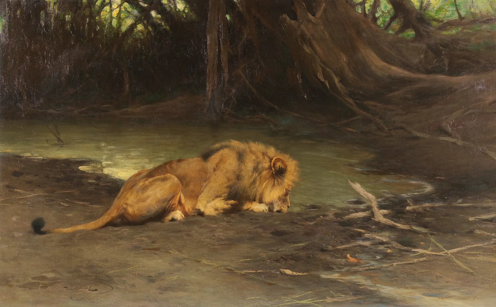 Löwe an der Tränke av Wilhelm Kuhnert
