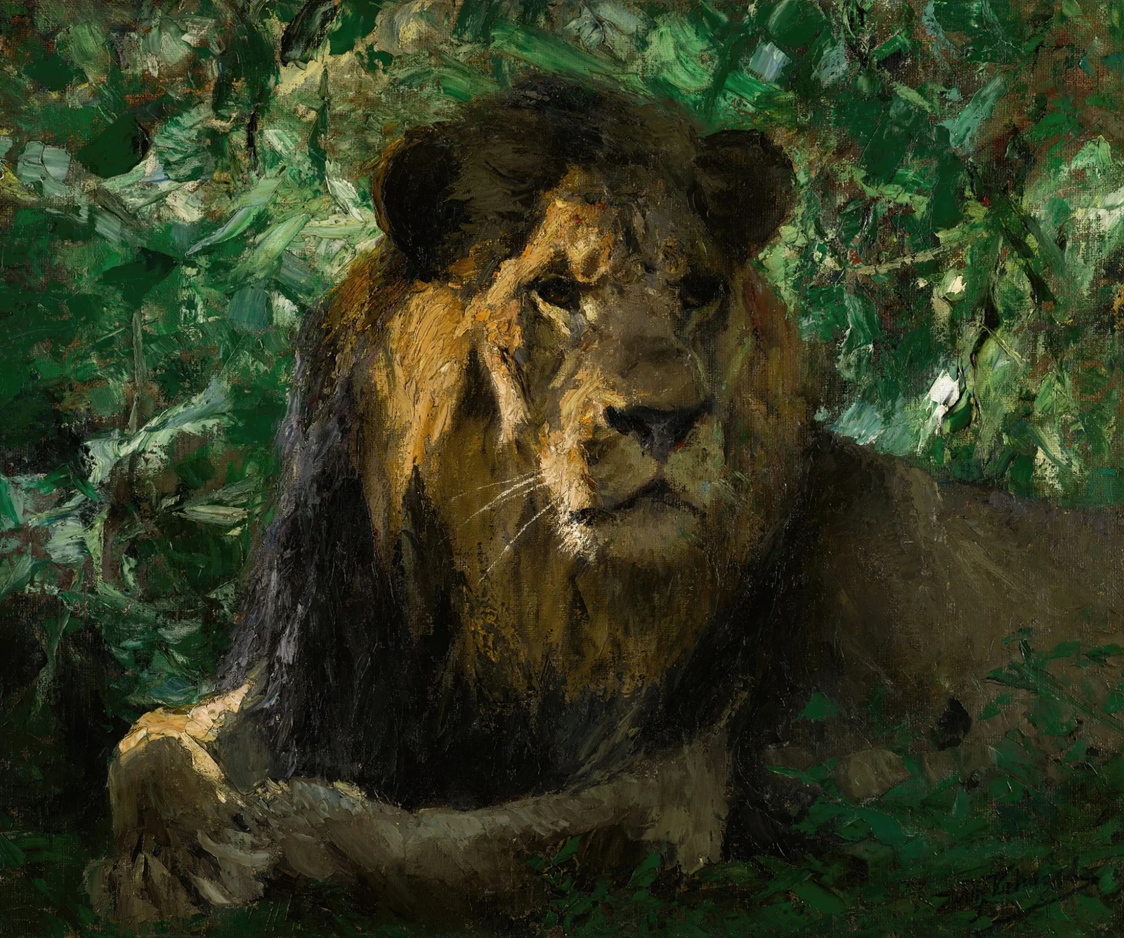 Resting Lion av Wilhelm Kuhnert