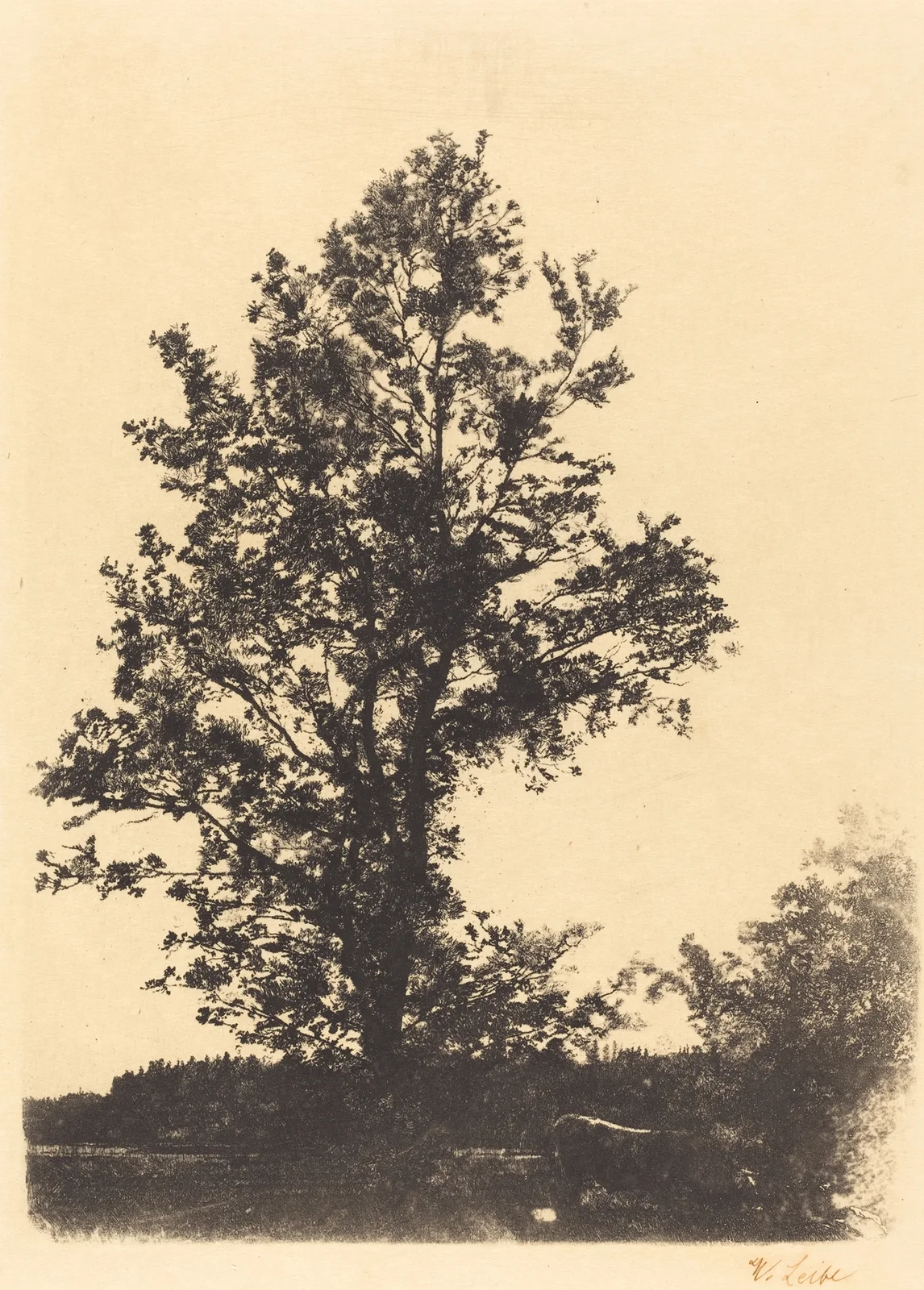The Large Tree av Wilhelm Leibl