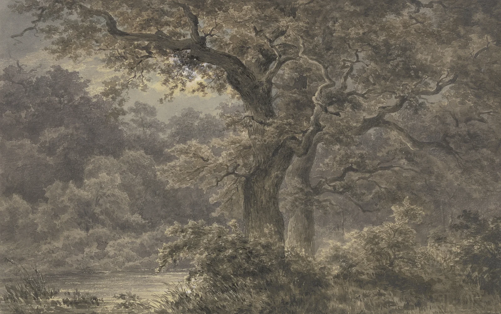 Oak trees in the forest av Johann Wilhelm Schirmer