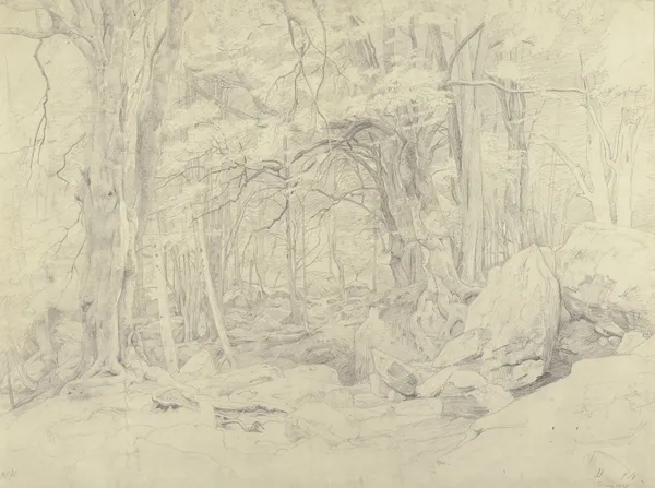 Waldinneres, unten rechts zwei karikierte männliche Profilköpfe av Johann Wilhelm Schirmer