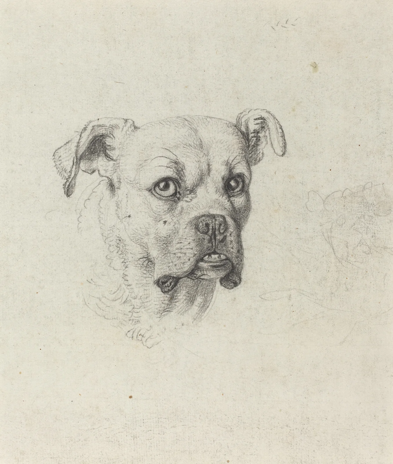 A Boxer av Johann Heinrich Wilhelm Tischbein