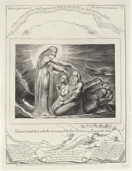 Illustrations of the book of Job Pl.18 av William Blake
