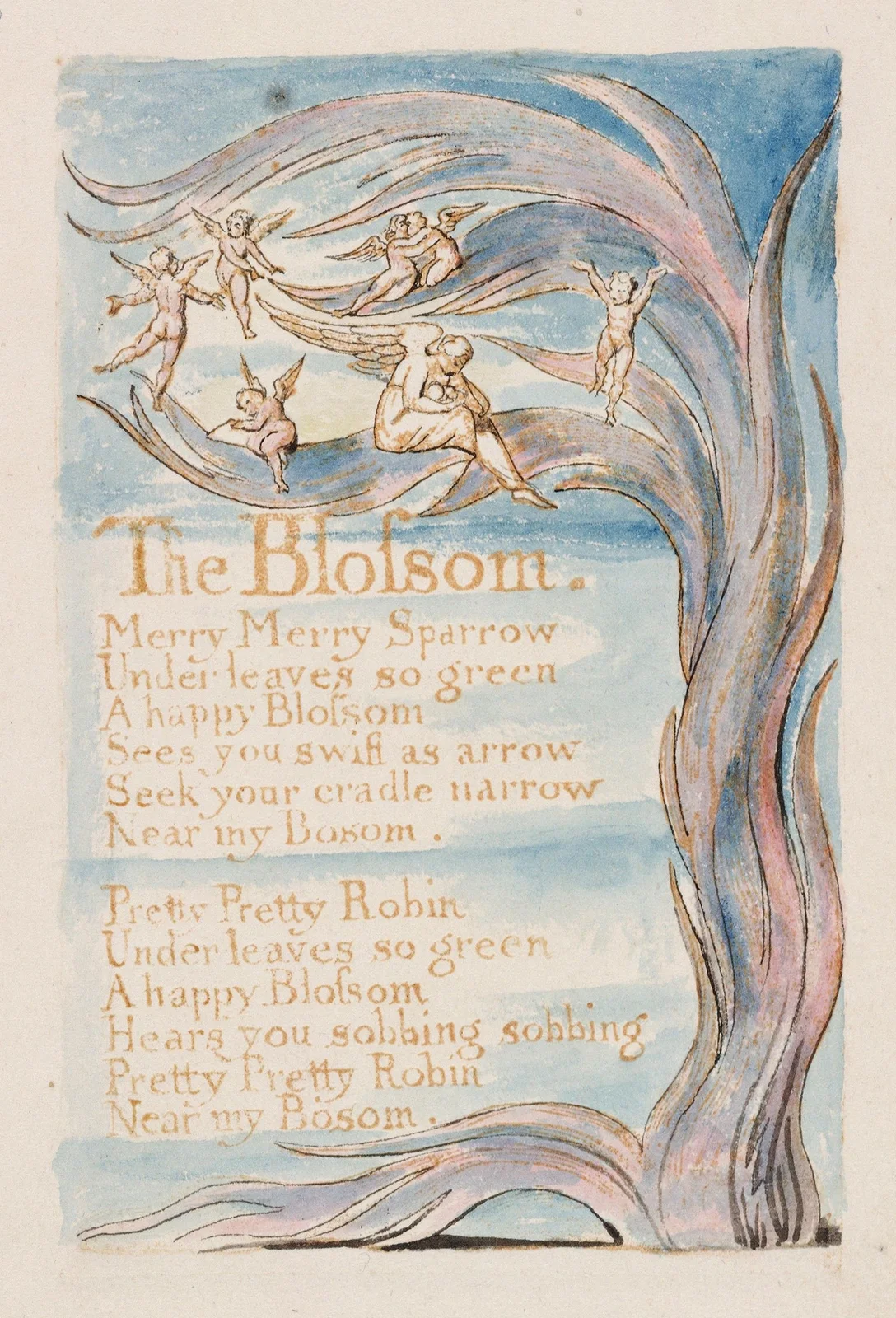 Pl. 17 – The Blossom av William Blake