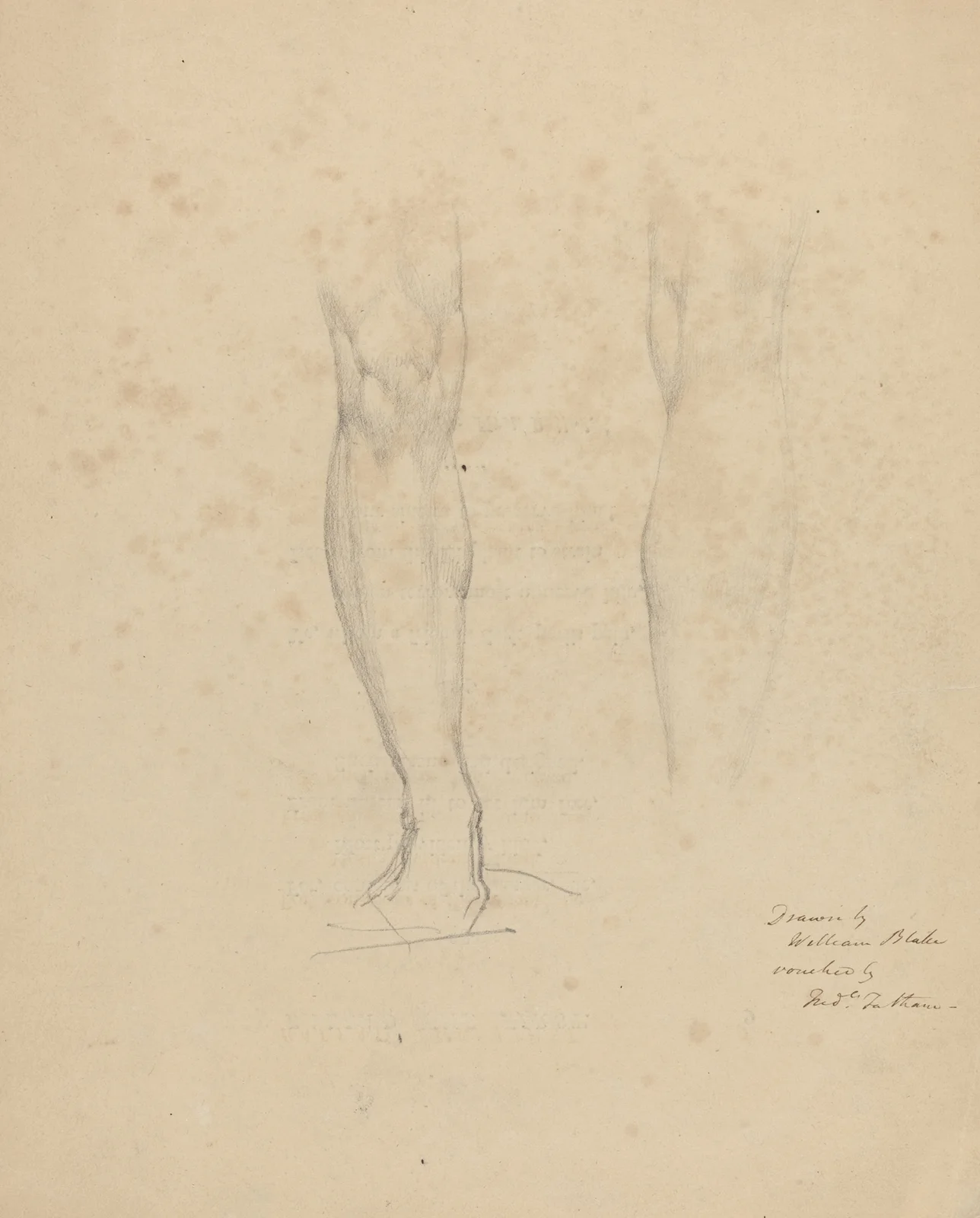 Two Legs (probably 1805-1810) av William Blake