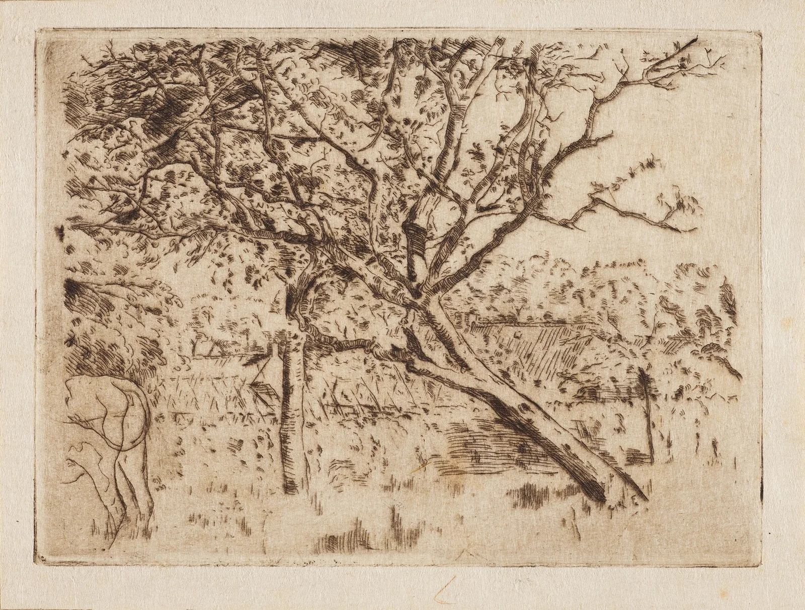 Boomgaard av Alfred William Finch