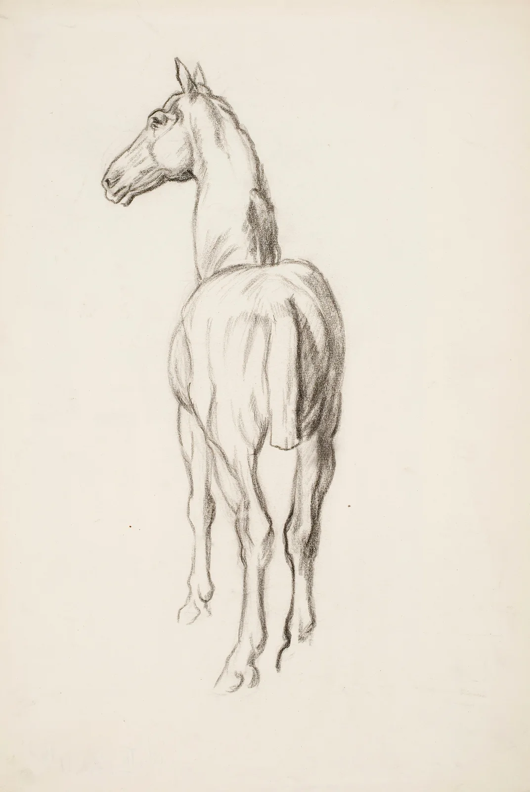 Hevosharjoitelma av Alfred William Finch