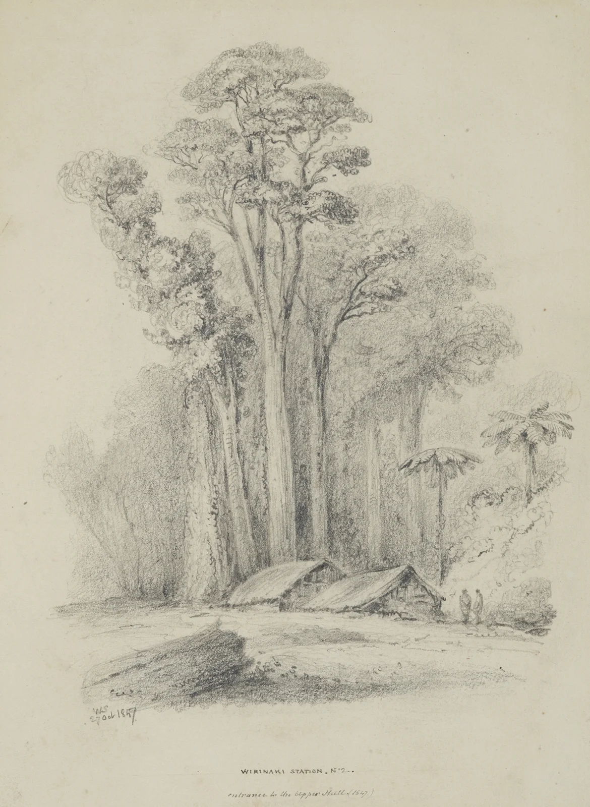 Wirinaki Station av William Swainson