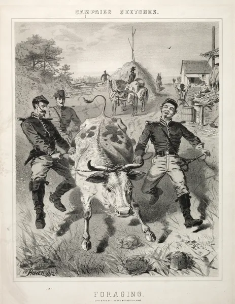 Campaign Sketches; Foraging av Winslow Homer