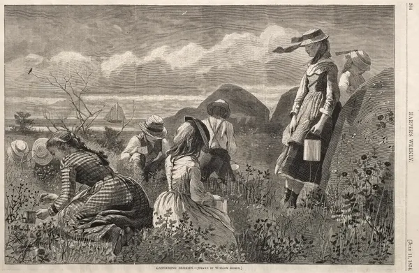 Gathering Berries av Winslow Homer