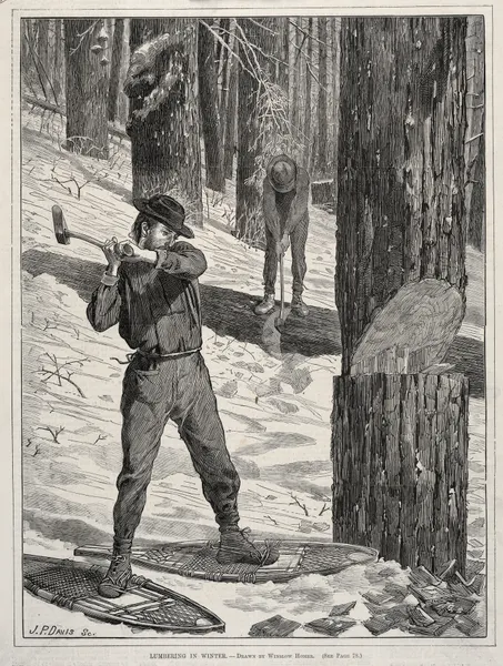 Lumbering in Winter av Winslow Homer