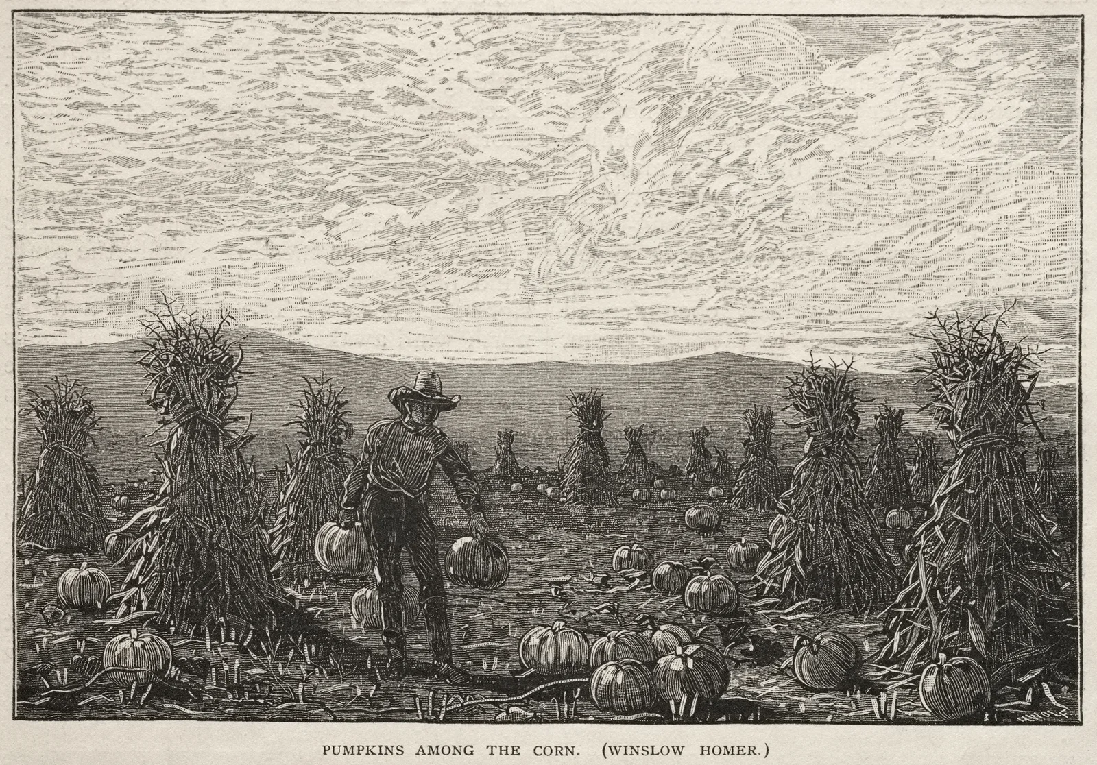 Pumpkins Among the Corn av Winslow Homer