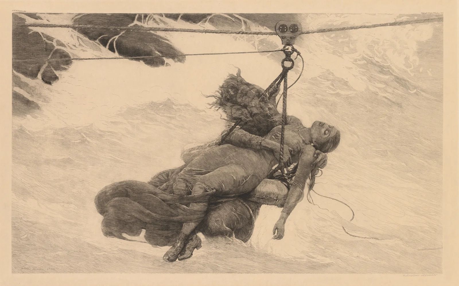 Saved av Winslow Homer