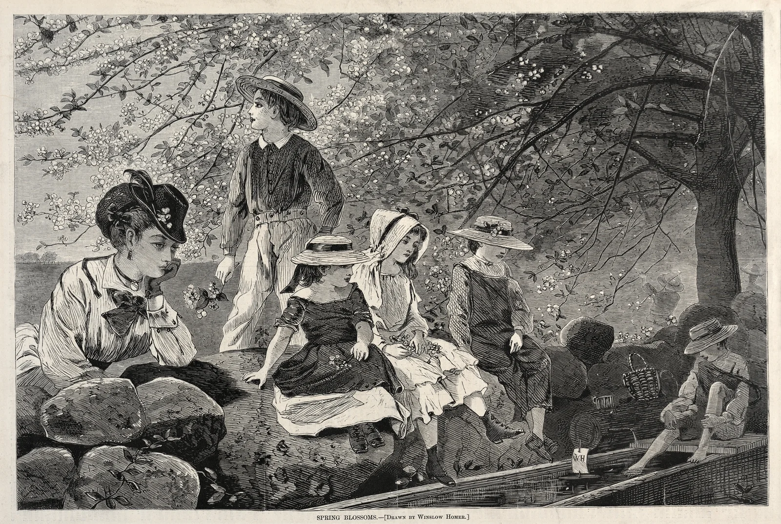 Spring Blossoms av Winslow Homer