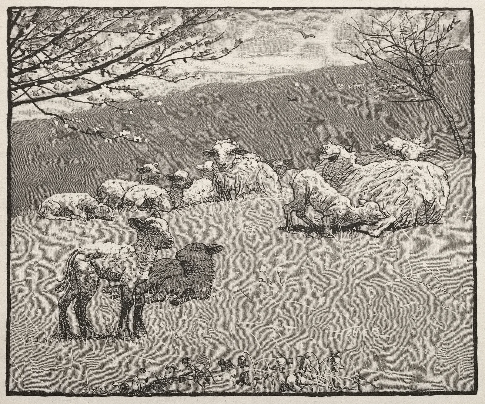 Spring Lamb av Winslow Homer