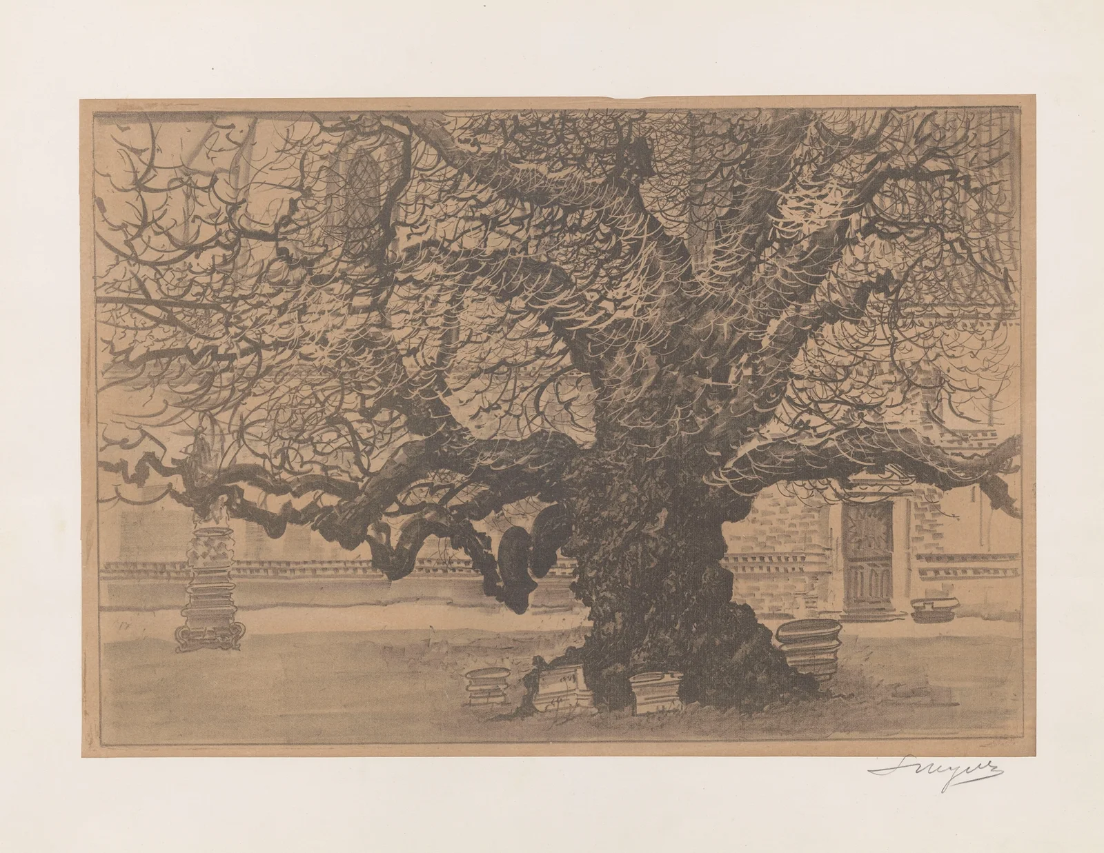 Old linden in Piotrawin av Leon Wyczółkowski