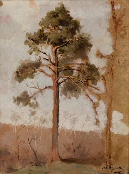Pines at Połąga av Leon Wyczółkowski