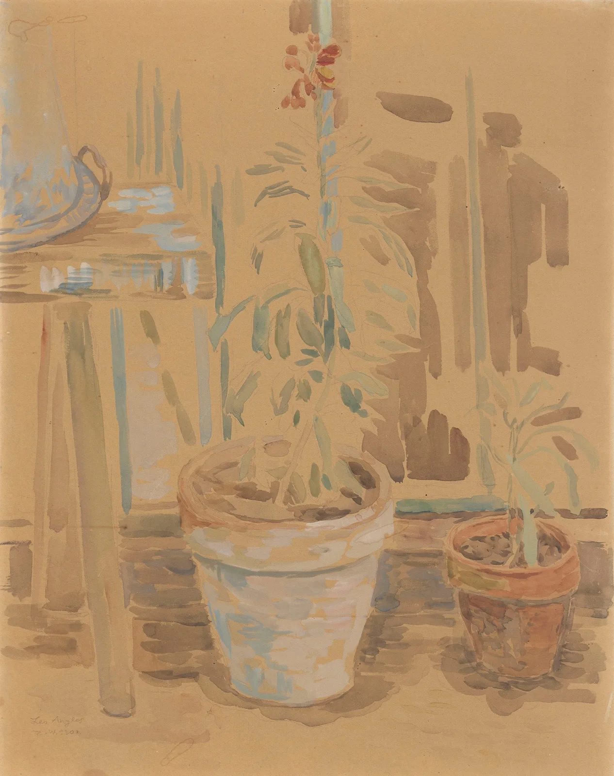 Flowers in pots av Zygmunt Waliszewski